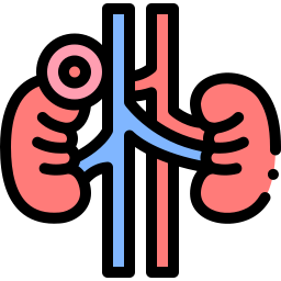 Kidney icon