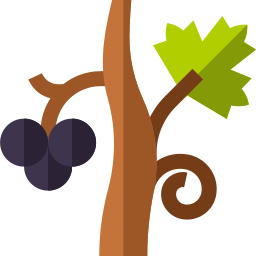 Vine icon