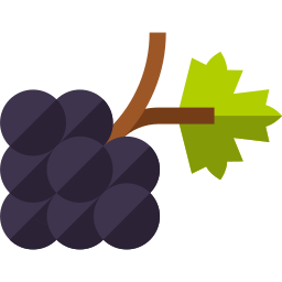 Grapes icon