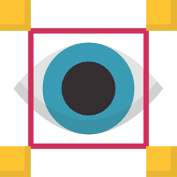 vision icon