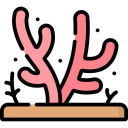 Coral icon