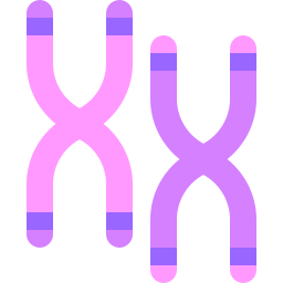 Chromosome icon