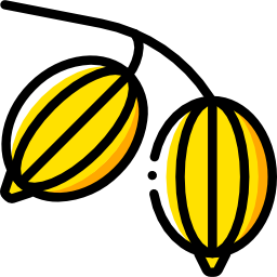 Gooseberry icon