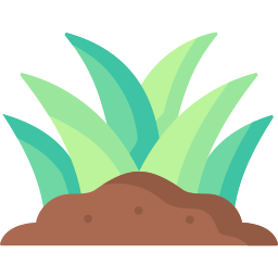 Grass icon