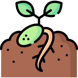 Sprout icon