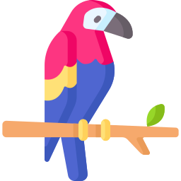 Scarlet macaw icon