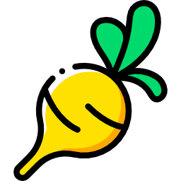 Radish icon