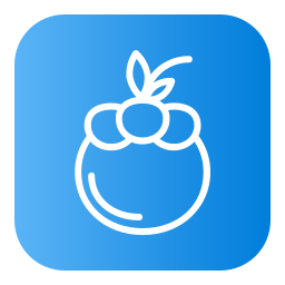 mangostan icon