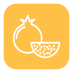 Pomegranate icon