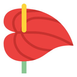 anthurium Icône