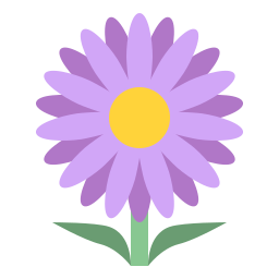 aster Icône