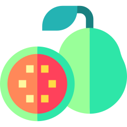 Guava icon