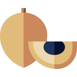 sapodilla icon