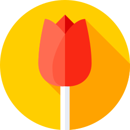 tulpe icon