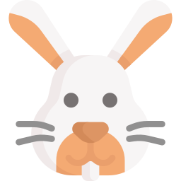 lapin Icône