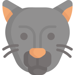 puma icon