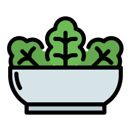 Salad icon