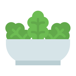 Salad icon