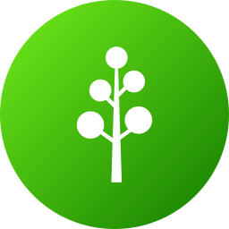 baum icon