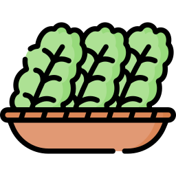 Kale icon