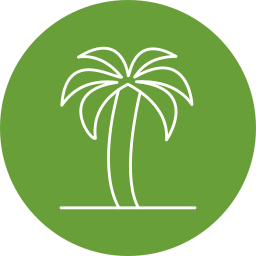 Palm tree icon