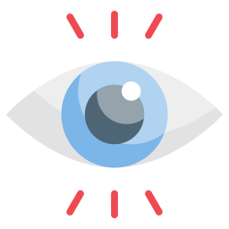 vision icon