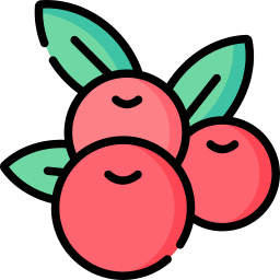 Cherries icon