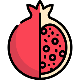 Pomegranate icon