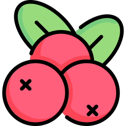 Blueberries icon