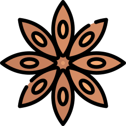 Anise icon