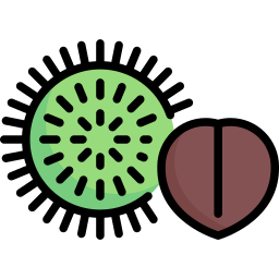 Chestnut icon