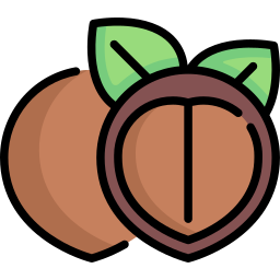 Hazelnut icon