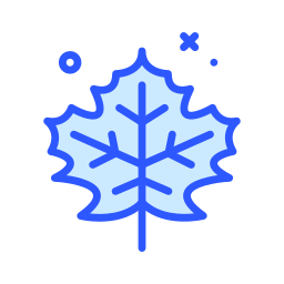 Maple leaf icon