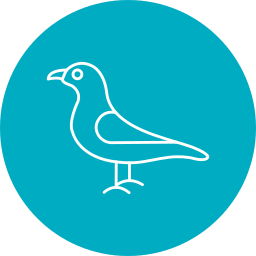 Seagull icon