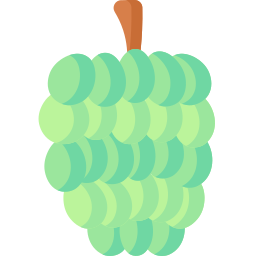 Custard apple icon