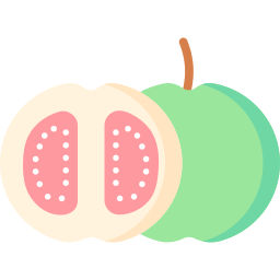 Guava icon