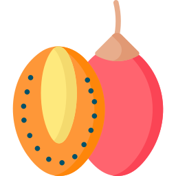 Tamarillo icon