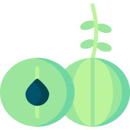 Gooseberry icon