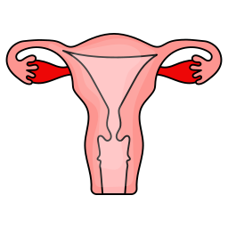 vagina icon