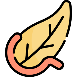 pankreas icon