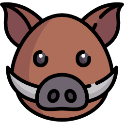 Boar icon