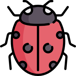 Ladybug icon