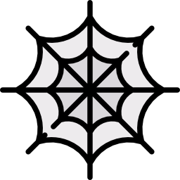 Spider web icon