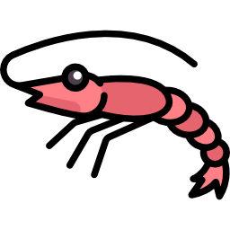 Shrimp icon