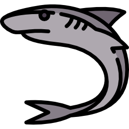 Shark icon