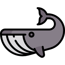 Whale icon