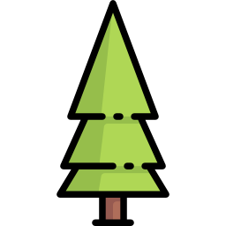 Pine icon