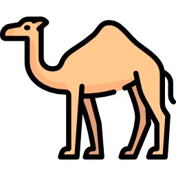 Camel icon