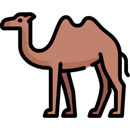 Camel icon