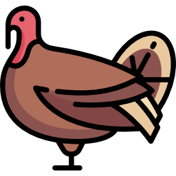 Turkey icon